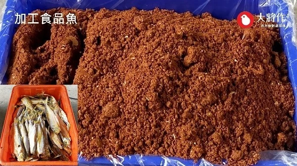 測試樣品介紹，處理內容為台中漁會加工食品魚類透過大將作廚餘機處理成飼料添加物處理後狀況
