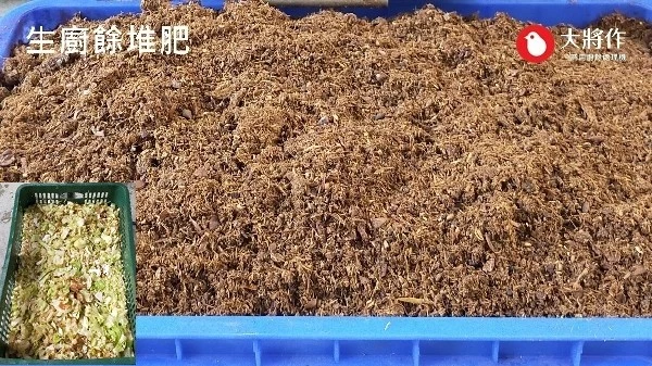 測試樣品介紹，處理內容為生鮮蔬菜生廚餘透過大將作廚餘機處理成堆肥基材處理後狀況
